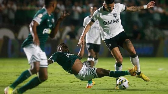 Divulgação 