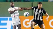 Vitor Silva / Botafogo