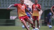 Raphael Silvestre / Guarani FC