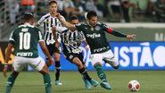 Reprodução/Palmeiras