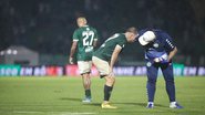 Raphael Silvestre/Guarani FC