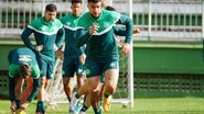 Tiago Meneghini/ACF