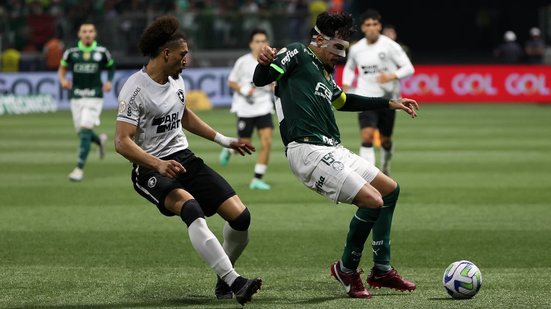 Cesar Greco / Palmeiras