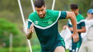 Tiago Meneghini / ACF