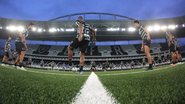 Vitor Silva/Botafogo