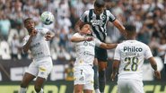 Vitor Silva / Botafogo