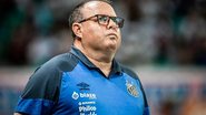 Raul Baretta/ Santos FC 