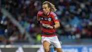 Divulgação/Flamengo 