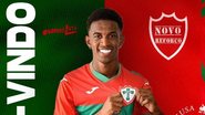 Divulgação 