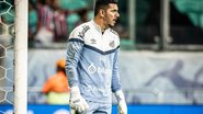 Raul Baretta / Santos FC