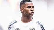 Divulgação / Santos