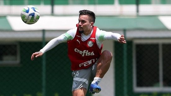 Cesar Greco/Palmeiras