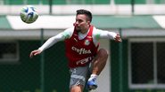 Cesar Greco/Palmeiras