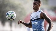 Raul Bareta / Santos