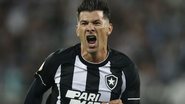 Victor Silva/Botafogo