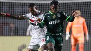 Cesar Greco / Palmeiras