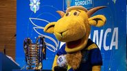 Thaís Magalhães CBF 