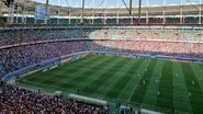Divulgação / EC Bahia