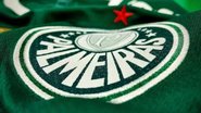 Divulgação / Palmeiras