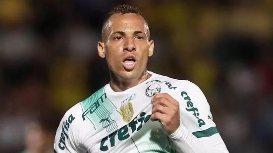 Cesar Greco/Palmeiras