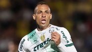Cesar Greco/Palmeiras