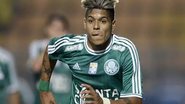 Divulgação / Paysandu