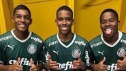 Divulgação / Palmeiras