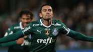Cesar Greco/Palmeiras