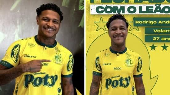 Divulgação 