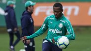 Cesar Greco/Palmeiras