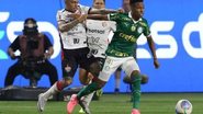 César Greco/Palmeiras