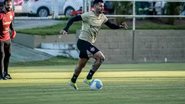 Victor Ferreira/ECV