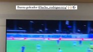 Reprodução 