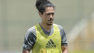 Galo / Pedro Souza