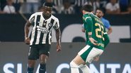 Vitor Silva / Botafogo