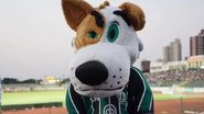 Divulgação / Maringá FC