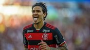 Marcelo Cortes / Flamengo