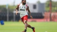  Gilvan de Souza / CRF