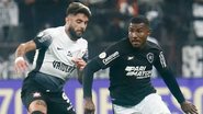 Vitor Silva / Botafogo