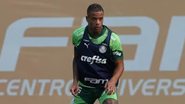 Cesar Greco / Palmeiras