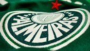 Divulgação / Palmeiras