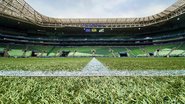 Divulgação | Allianz Parque