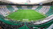 Reprodução / Palmeiras.com.br