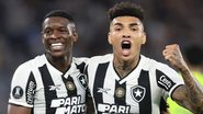 Reprodução / Botafogo FR