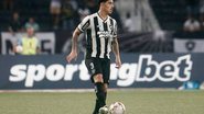 Reprodução / Botafogo