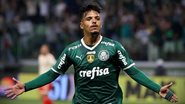 Reprodução / Palmeiras