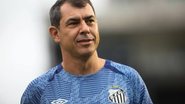 Reprodução / Santos FC