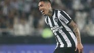 Reprodução / Botafogo F.R