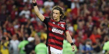Reprodução / Flamengo 