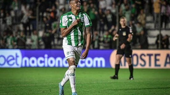Divulgação 